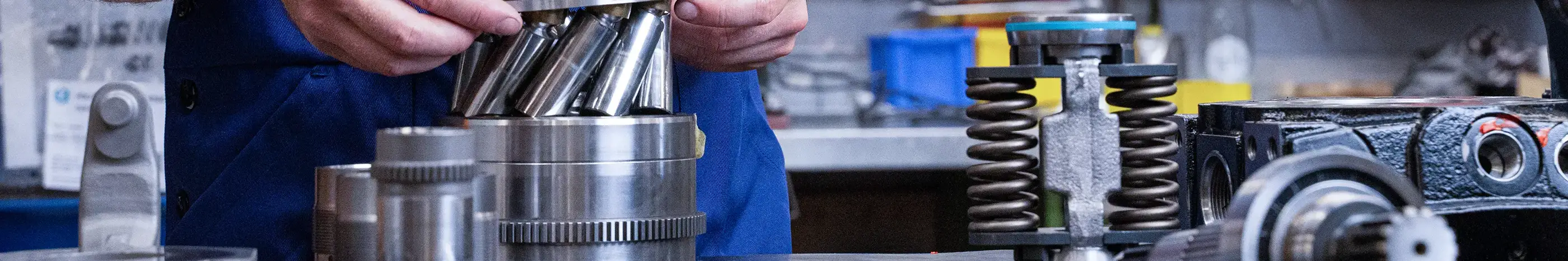 bibus-kernkompetenzen